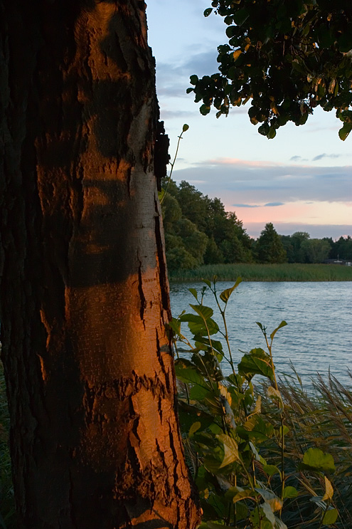 Sunset light at Lyngby lake